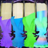 BBLIFE Glow in Dark PLA 3D Filament Bundle, 4 Popular Dark Luminous Colors: Glowing in Dark Green, Purple, Blue, Rainbow, Each Spool 0.25kg, 4 Spools, Total 1.75mm 1KG Fluorescent 3D Printer Material Bblife