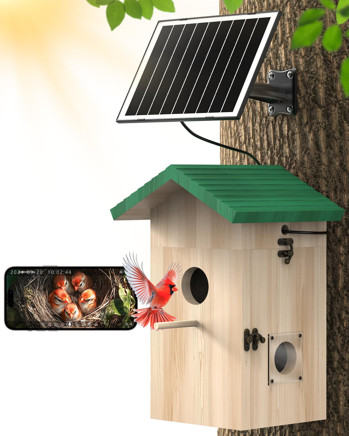 Smart Bird House Camera Solar Powered, 2K HD Wi-Fi Bird Watching Camera for Birdhouse, Auto Detect & Notify, Night Vision, APP Control, Wooden Birdhouse with Camera Inside KinetCam