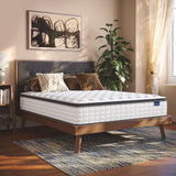 Vesgantti Full Size Mattress, 10 Inch Hybrid Full Mattress in a Box, Pillow Top Double Bed Mattress, Gel Momory Foam and Pocket Coils Innerspring Mattresses, Pressure Relief, Medium Firm Plush Feel Vesgantti