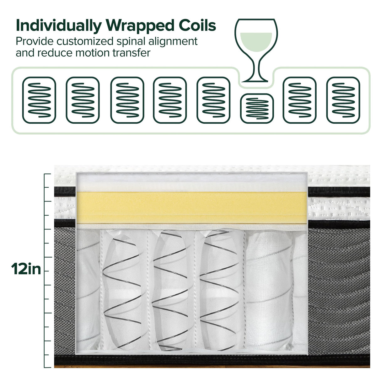 ZINUS 12 Inch True Support Hybrid Mattress [New Version], Queen, Fiberglass Free, Medium Feel, Motion Isolation, Certified Safe Foams & Fabric, Mattress in A Box Zinus