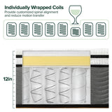 ZINUS 12 Inch True Support Hybrid Mattress [New Version], Queen, Fiberglass Free, Medium Feel, Motion Isolation, Certified Safe Foams & Fabric, Mattress in A Box Zinus