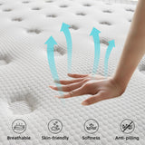 sofree bedding Queen Size 10 Inch Memory Foam Hybrid Mattress, Pocket Spring in a Box for Motion Isolation, Strong Edge Support, Pressure Relief, Medium Firm, CertiPUR-US sofree bedding