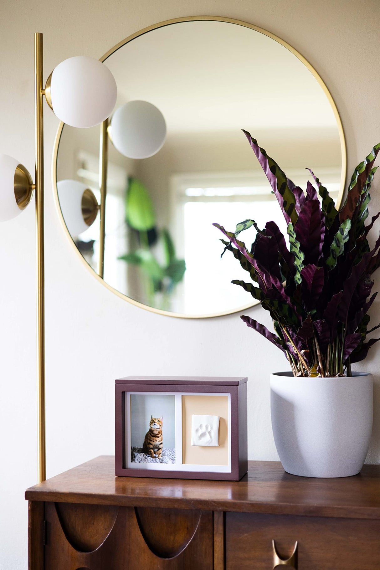 Pearhead Pet Photo Memory Box and Impression Kit for Dog or Cat Paw Print, Clay Paw Print Urn, Pet Memorial, Espresso Pearhead