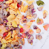 20+ Cups Real Rose Petals Biodegradable Wedding Flower Confetti, 2 QT Mixed Yellow Purple Pink Dried Roses Petals for Wedding Proposal Bath Valentine's Day Party Flower Girl Oning