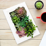 Nattol 3D Artificial Succulent Wall Art, Wood Frame with Realistic Faux Plant, Wall Hanging Botanical Decoration, Home Decor Idea for Vertical Garden and Fake Plants, White Nattol