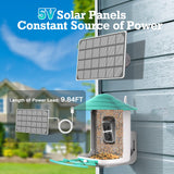 DELOTA Bird Feeder with Camera, Smart Bird Feeder Camera with Ai dentify Bird Species, Auto Video Bird Feeder Camera Live Motion Activated, Bird Feeder with Camera for Outdoor (Green) DELOTA