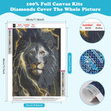 SENQAO Diamond Art Kits Black Lion 5D Diamond Art Kit Full Round Drill Painting Kit for Adults Beginner Lightning Painting with Diamonds Animal for Adults Home Wall Decor 30x40cm/11.8x15.7in SENQAO