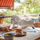 Grills House Stainless Steel Portable Grill with Two Handles and Travel Locks, Tabletop Propane Gas Grill with Folding Legs, 10000 BTU, for Picnic Cookout, GT2001, Silver Grills House