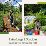 Gardener’s Supply Company Extra Tall Garden Arch Arbor | 80 Inch Tall Titan Squash Tunnel | Lightweight Metal, Trellis Plant Stand for Climbing Vines | Outdoor Lawn Tower & Support Structure Gardener's Supply Company
