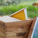 Honey Keeper 10 Assembled Beehive Frames with Waxed Natural Foundations for Beekeeping, 6-1/4 inch Honey Keeper