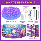 PIBEX Ocean Fossil Dig Kit, Dig up 20+ Real Shells & Seasnails, STEM Educational Activity Set Sea Creatures Excavation Toy for Kids, Marine Biology Geology Science Kit, Gift for Boys and Girls Age 6+ PIBEX