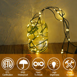 WATERGLIDE Extra Long 328 FT Fairy String Lights, 1000 LED Outdoor Christmas Lights, Green PVC Copper Wire Lights, Plug in 8 Modes & Waterproof for Xmas Tree Holiday Wedding Party Decor, Warm White WATERGLIDE