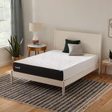 Lucid 10 Inch Memory Foam Mattress - Medium Feel - Infused with Refreshing Bamboo Charcoal and Cooling Gel - Bed in a Box - Temperature Regulating - Pressure Relief - Breathable - Full Size LUCID