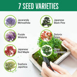 REALPETALED Bonsai Starter Kit – Japanese Bonsai Tree Kit with Bonsai Tools, 7 Bonsai Tree Seeds, Pots – Complete Grow Your Own Bonsai Tree Live Kit – Plant Lover Gifts Home Gifts for Men and Women REALPETALED