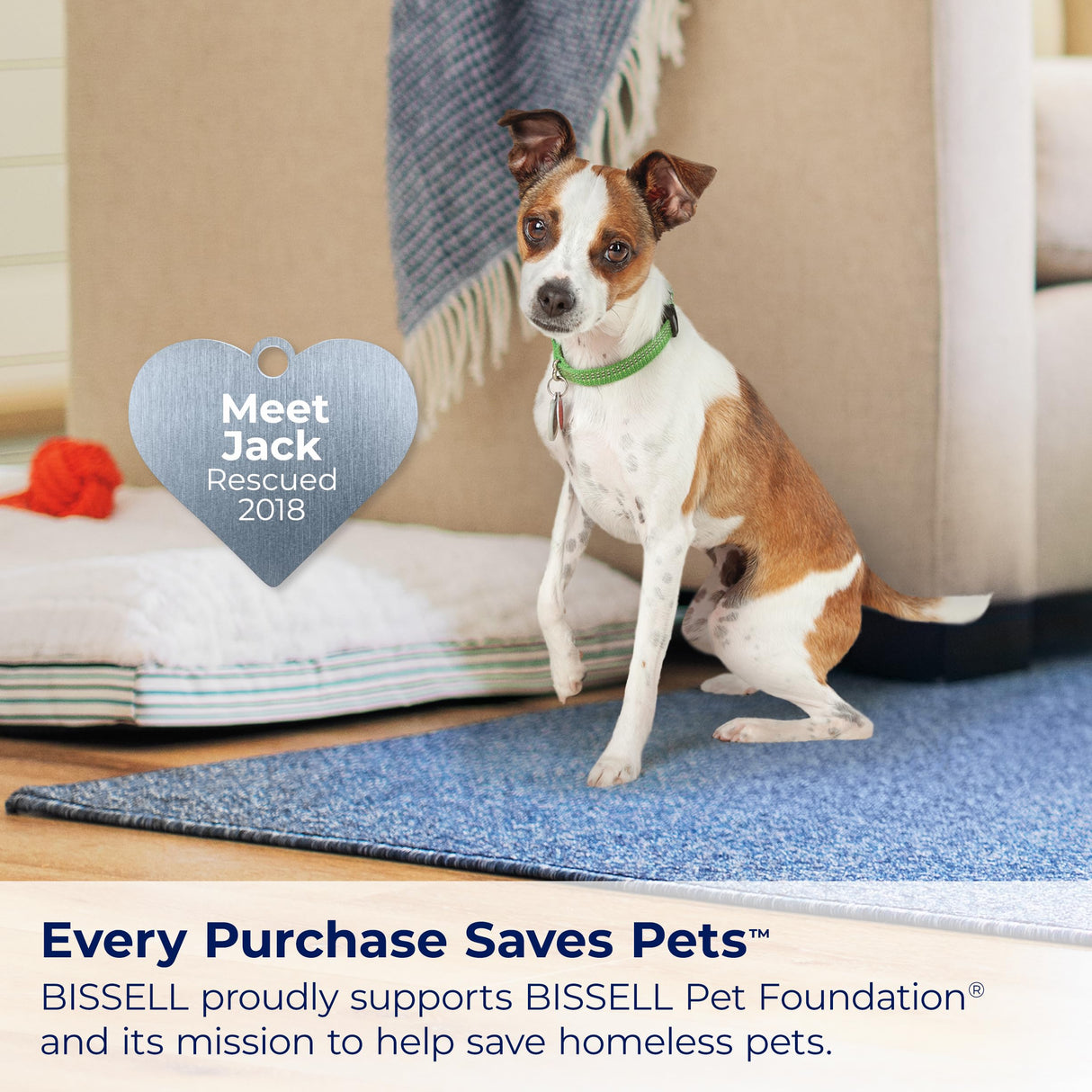 BISSELL® Little Green® Max Pet Portable Carpet and Upholstery Deep Cleaner, Car/Auto Detailer, with Self-Cleaning Tough Stain Tool and Pet Hair Removal Tool (3860) Bissell