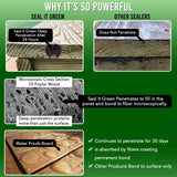 Garden Box Sealer | FDA Food Contact Safe Plant-Based Wood Sealant for Raised Beds, Planters & Pet Houses. Protects All Wood Types from Water & Weather Damage | Eco-Friendly Sustainable Solution Seal It Green