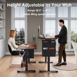 DSNAPE Electric Standing Adjustable Desk with Drawers, 48" x 24" Sit Stand Up Desk Adjustable Height with Side Storage for Home and Office, Rustic Brown DSNAPE