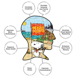 AQUARIUS Snoopy Camp Beagle Scouts 500pc Puzzle (500 Piece Jigsaw Puzzle) - Glare Free - Precision Fit - Officially Licensed Peanuts Merchandise & Collectibles - 14x19 Inches AQUARIUS