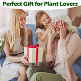 Bonsai Tree Kit, Wooden Bonsai Starter Kit, Coolrunner Bonsai Tree Starter Kit, Mini Bonsai Plant Growing Kit with Seeds Packets, Soil Discs, Jute Bags, Plant Markers, Gardening Tools etc (No Seeds) Coolrunner