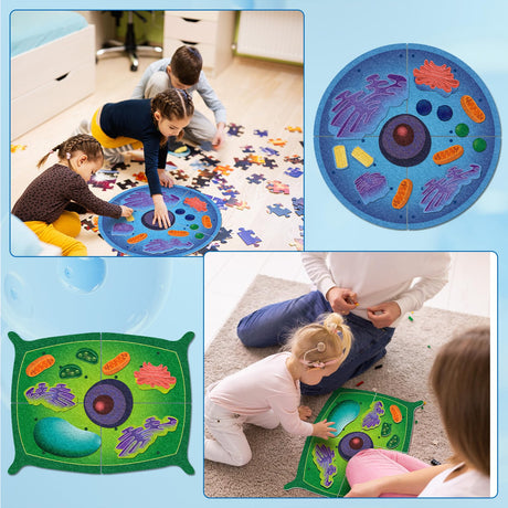 VercanMonth 2 Set Giant Felt Animal and Plant Cell Anatomy Model Kits Early Biology Cell Model Life Science Toys Animal Plant Bacteria Science Kit for Boys Girls Classroom Educational Learning VercanMonth