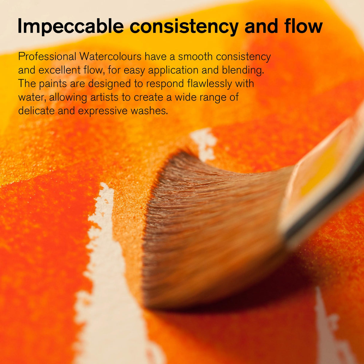 Winsor & Newton Professional Watercolor Paint Set, Lightweight Metal Box, 24 Half Pan Winsor & Newton