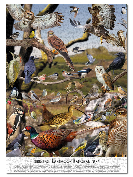 Bird Puzzles for Adults 1000 Pieces | Discover Birds of Dartmoor National Park - A 1000 Piece Puzzle for Adults | Gift for Nature and Wildlife Lovers | Adapted from an Original Art Collage Jam Contemporary Art