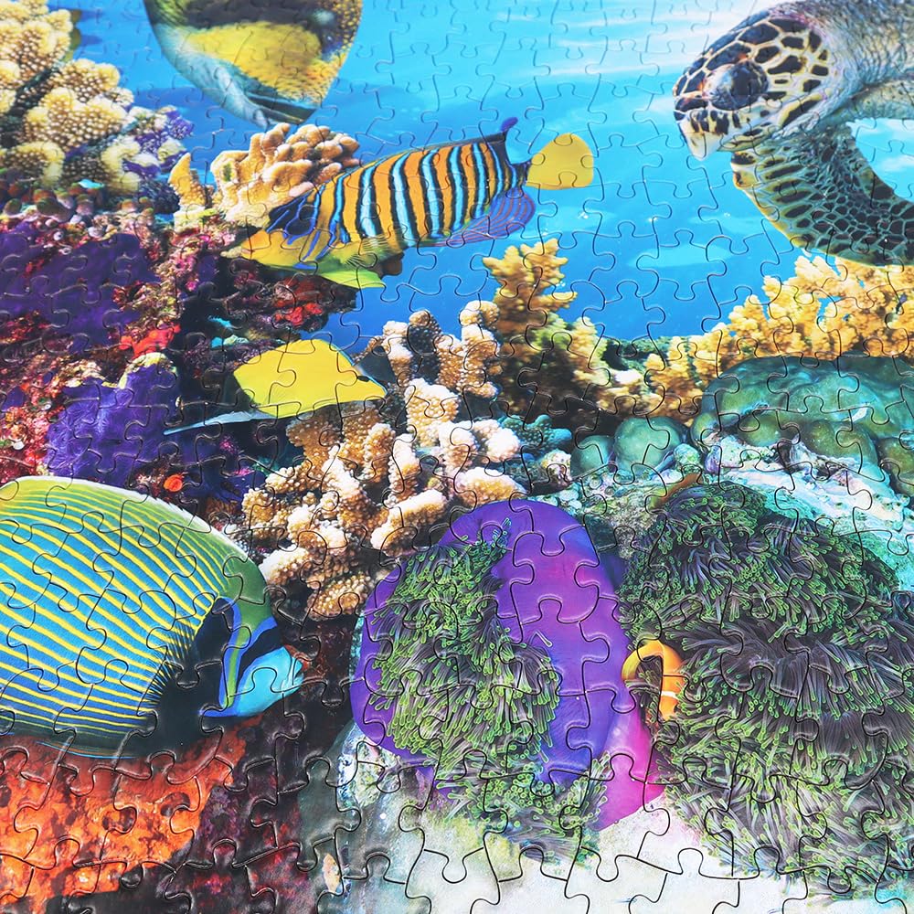 BEDUKE Jigsaw Puzzles for Adults 1000 Pieces Ocean Animals Thick Sturdy Cardboard Precise Interlocking 1000 Piece Puzzle Age 14+ Family Game BEDUKE