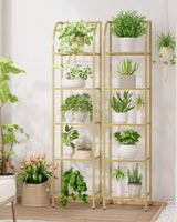 Hzuaneri Bookcase Bookshelf, Tempered Glass Arched Bookshelf for More Storage, Slim Shelving Unit for Bedroom, Bathroom, Home Office, Steel Frame, 5 Tier Gold BC20599G Hzuaneri