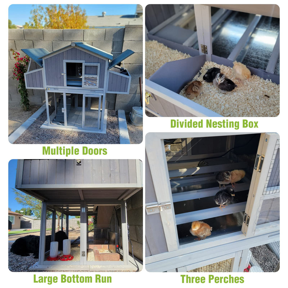 GUTINNEEN Foldable Chicken Coop Super Easy to Assemble Large Hen House Wooden Poultry Cage with Nesting Box and Run GUTINNEEN