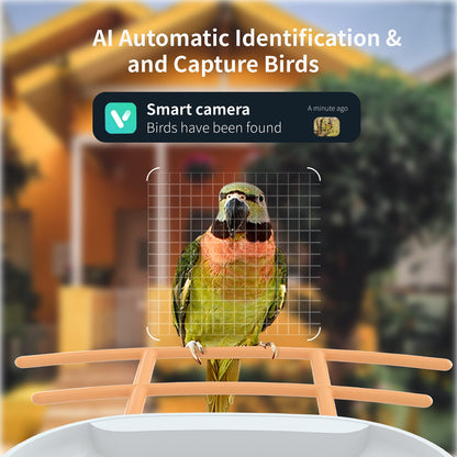 Smart Bird Feeder with Camera, AI Identify Bird, Solar Panel, 1080P HD Live Camera, Auto Capture Bird Video and APP, 2.4G WiFi Connection