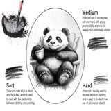 Daerthotk Charcoal Pencils Drawing Set, 12 Pieces Soft, Medium and Hard Black Sketch Charcoal Pencils for Drawing, Sketching, Shading, Blending, Artist Pencils for Beginners & Pro Artists Daerthotk