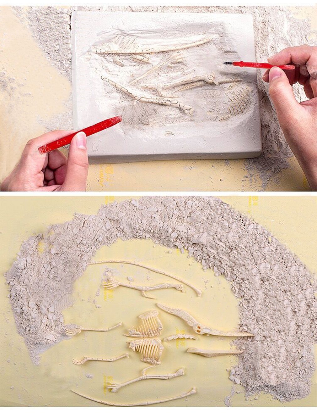 Dinosaur Excavation Kits For Kids,Dino Dig Kits T-Rex,Triceratops and Diplodocus,Dinosaur Fossil Excavation Kits ,Children's Popular Science Education Toys - Dinosaur DIY Toys（Three-piece suit） AKINGSHOP