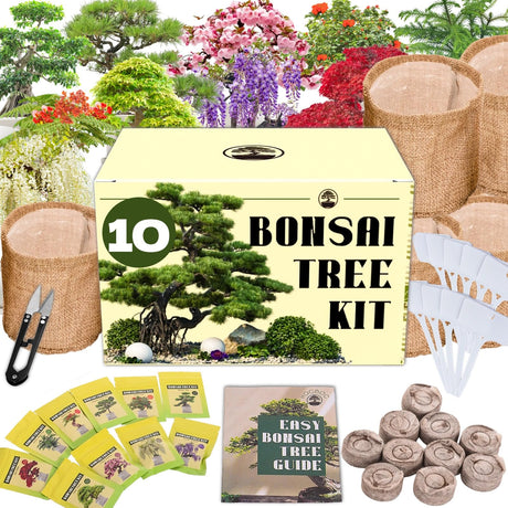 Premium Bonsai Tree kit - 10 Types Bonsai Tree Growing Set for Starter with Soil, Pots, Scissor, Plant Makers, Grow Greenery Indoor, Beginner Planting Kit Plant Gifts EquSym