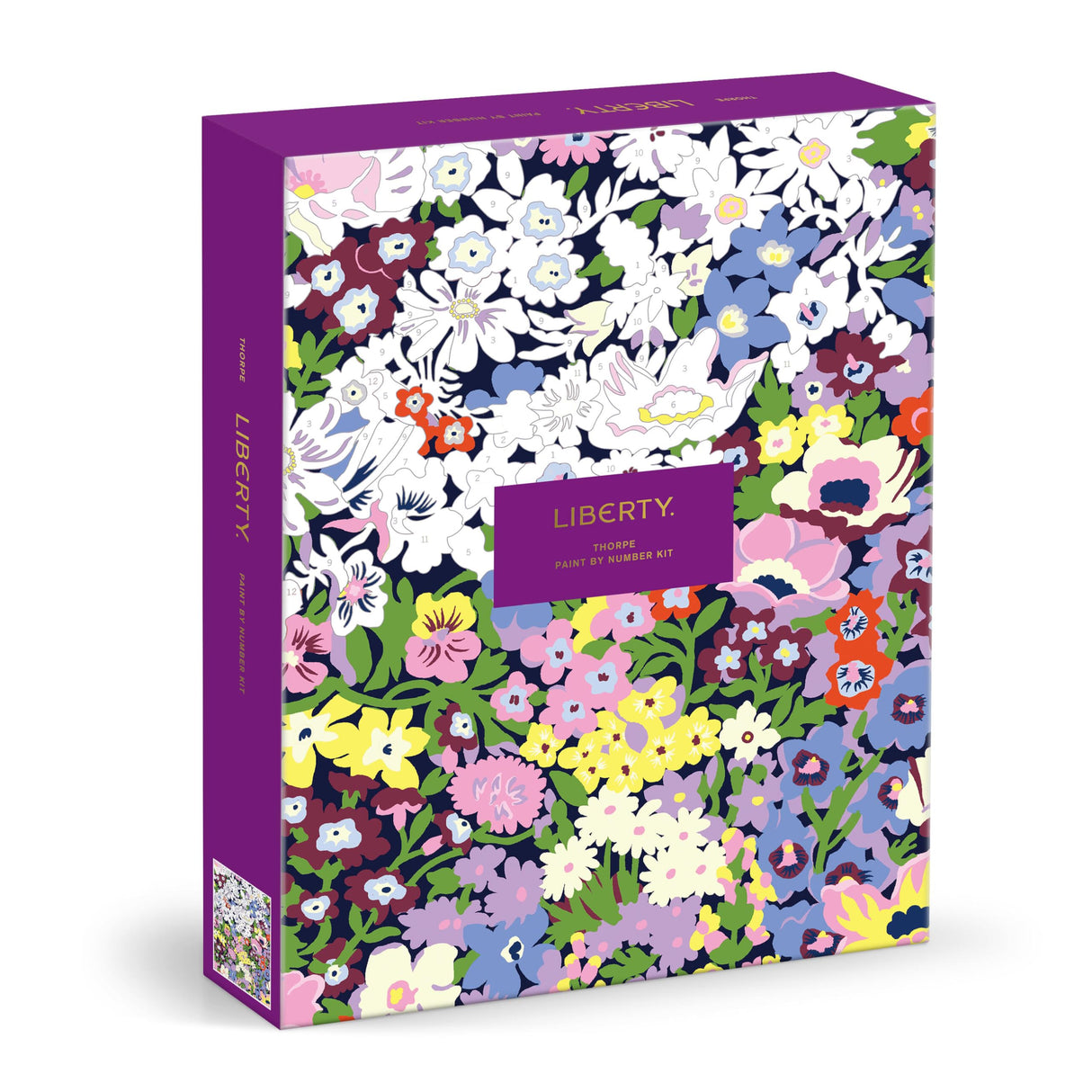 Galison Liberty Thorpe – DIY 9 x 12 Paint by Number Kit with Iconic Liberty Print Art for Beginners and Experts Includes Paint and Brushes Galison