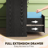 DEVAISE 2-Drawer Wood Lateral File Cabinet with Lock for Office Home, Black DEVAISE