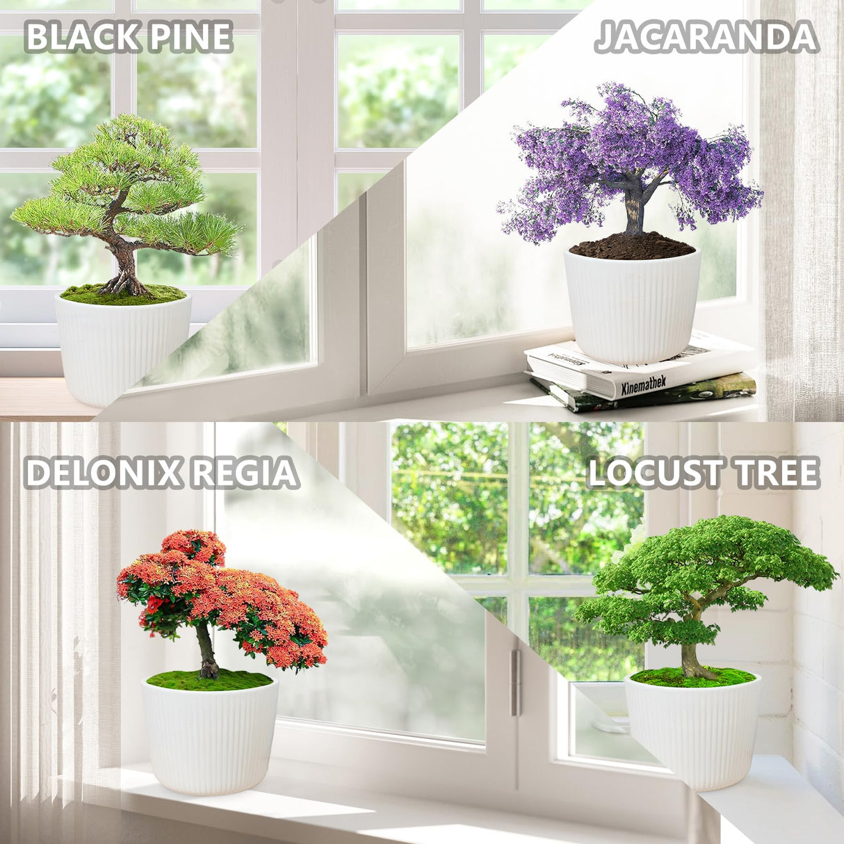 Bonsai Tree Kit – DIY Japanese Bonzai Trees with All-in-One Indoor Plant Growing Tools & Planters – Unique Gardening Gifts for Women, Men & Kids LUOJIBIE