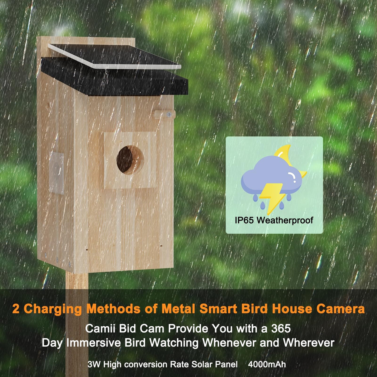 Bird House with Camera, 5MP Smart Birdhouse Camera with Solar Powered, Bird Box Camera for Families, Motion Detection & 32GB SD Card, Watch Bird Nesting & Hatching in Real Time, Ideal Gift for Friends Camii