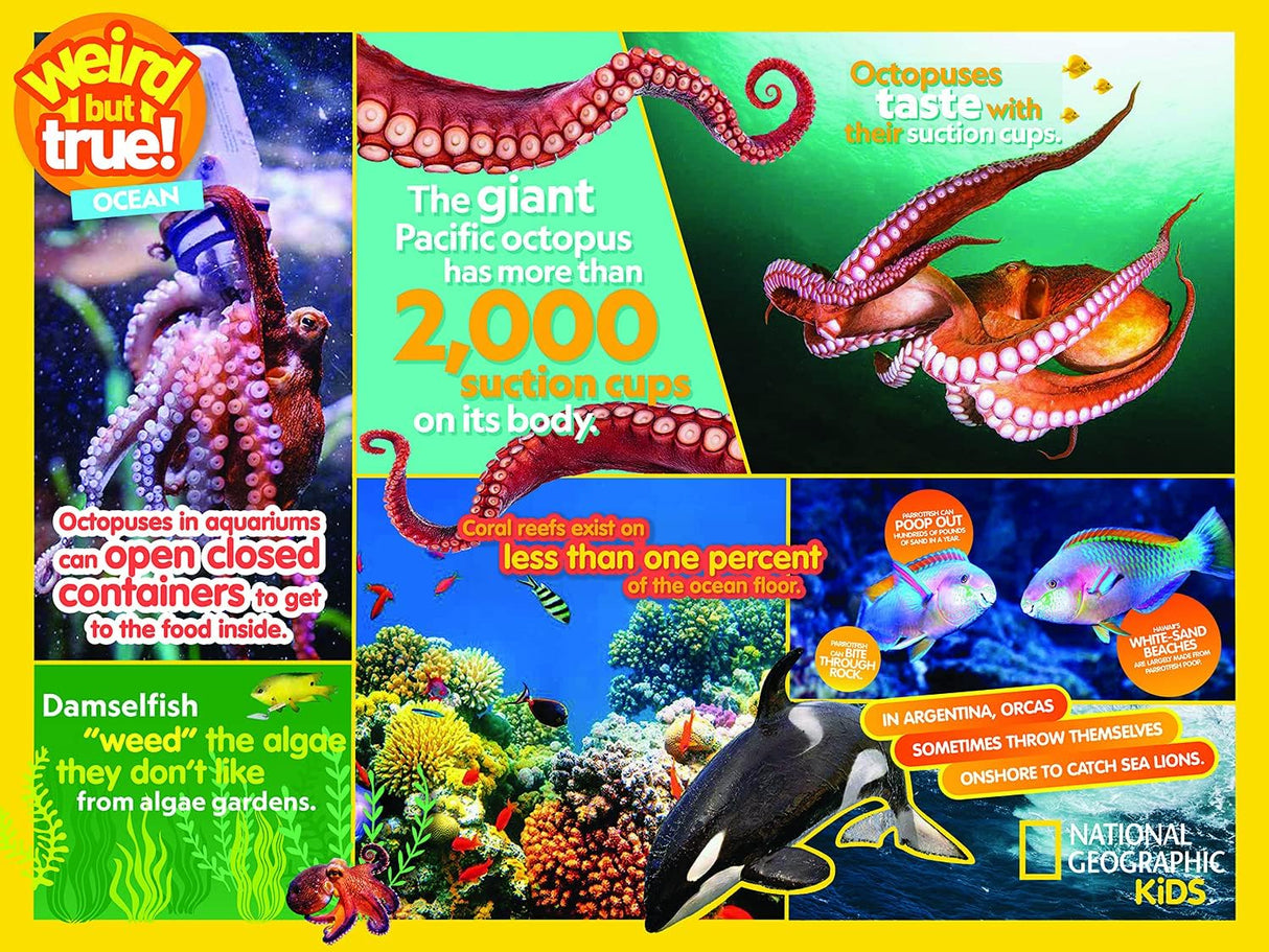 Buffalo Games - NAT Geo - Ocean - 400 Piece Jigsaw Puzzle for Families Challenging Puzzle Perfect for Game Nights - Finished Puzzle Size is 21.25 x 15.00 Buffalo Games