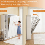 BEQAI Queen Murphy Bed with Storage Bookcase & 4 Adjustable Shelves, Foldable Space-Saving Queen Wood Wall Bedframe with Metal Legs, Hidden Bedframe for Guest Room, Study, Home Office, Bedroom, White BEQAI