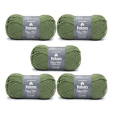 Patons Classic Wool Meadow Yarn - 5 Pack of 3.5oz/100g - Wool - 4 Medium - 210 Yards - Knitting/Crochet Patons