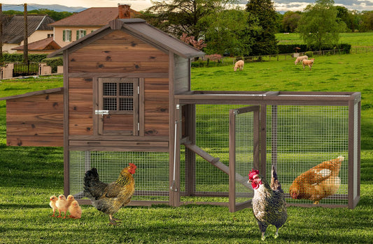 Wooden Chicken Coop Large Walk-in Outdoor Hen House with Nesting Box and Run, Poultry Cage Rabbit Hutch Waterproof UV Panel Cover Brown 80'' for 2-4 Chickens #CO24