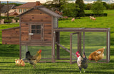 Wooden Chicken Coop Large Walk-in Outdoor Hen House with Nesting Box and Run,Poultry Cage Rabbit Hutch Waterproof UV Panel Cover for 2-4 Chickens 80''H Deep Brown #821 (80.75" L x 22" W x 44.5" H) Grezone