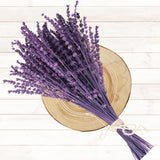 Dried Purple Lavender Flowers Bundle-Dried Preserved Lavender Bouquet 15-17" for Shower Weeding Home Vase Decor, Crafts, Aromatherapy, Fragrance, Fresh Silk Dry Live Plants, 50g(1.76oz) Glicrili