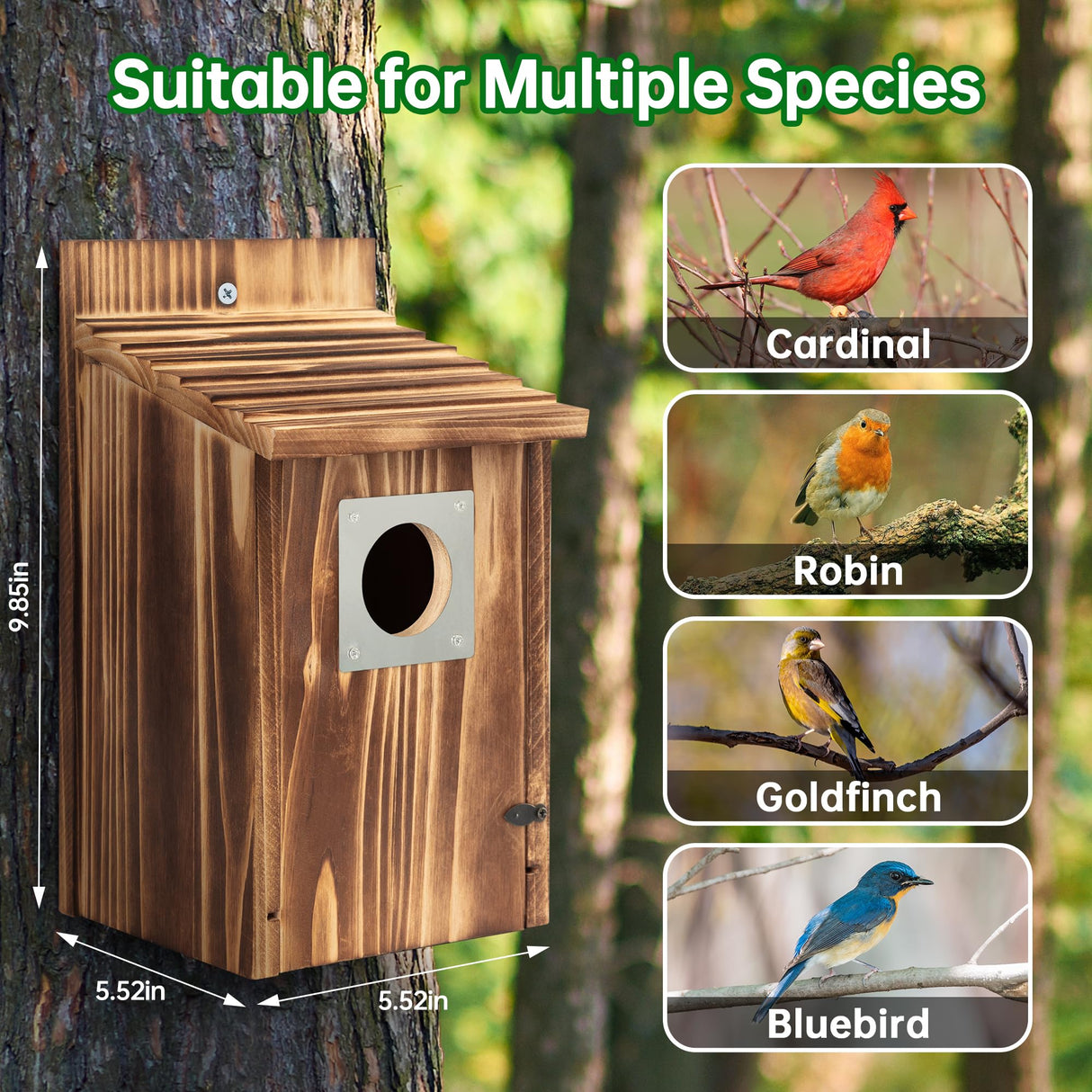 2 Pack Bird Houses for Outside with Metal Predator Guard for Bluebird Wren Swallow Finch, Carbonized Wooden Nesting Boxes for Outdoor, Sturdy Bird House,Easy to Clean UUMENHA