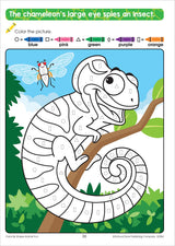 School Zone Color By Shape Animal Fun Workbook: 64 Pages, Preschool, Kindergarten, 1st Grade, Basic Shapes, Coloring, Wildlife, Ages 4 to 6 (Activity Zone Book Series) School Zone