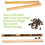 Rivajam Mason Bee House Wax Coated Nesting Bee Box | Refillable Phragmite Reed Mason Bee Tubes Filled Pollinator House | Mason Bee Houses for The Garden Rivajam