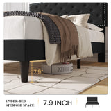 SHA CERLIN Queen Size Velvet Bed Frame with Adjustable Headboard, Diamond Button Tufted and Rivet Decor, No Box Spring Needed, Black SHA CERLIN