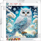 ZHUDENGXJL Special Shape Diamond Art Kits for Adults Beginners, 5D Diamond Painting Kits for Owl,DIY Gem Art Crystal Rhinestones Painting Kit for Adults Home Wall Decor 12 X 12inch ZHUDENGXJL