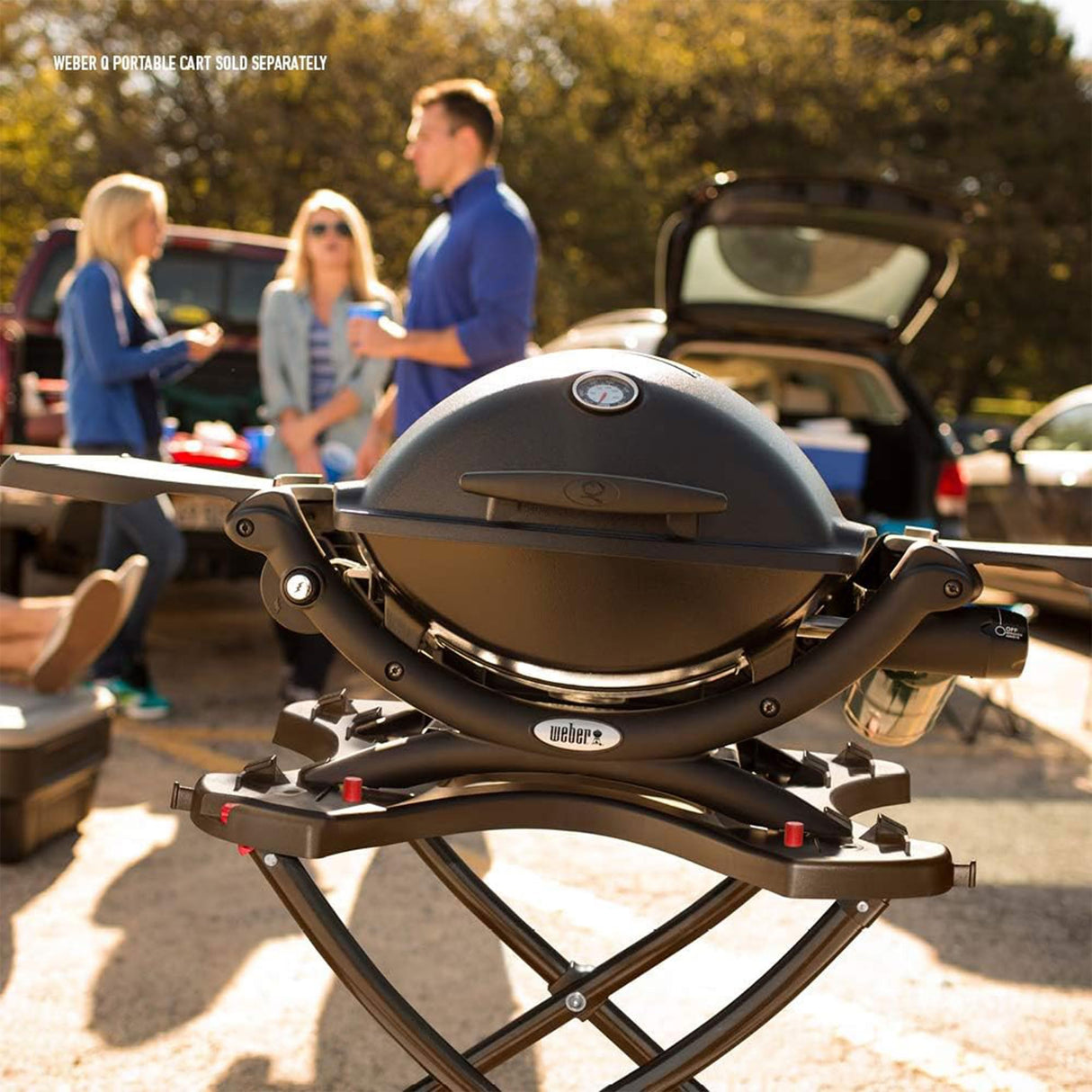 Weber Q1200 Liquid Propane Grill, Black Weber