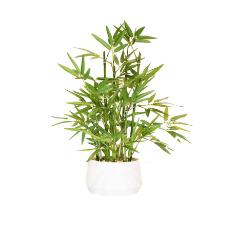 365 Blooming Decor 18 inch Tall White Potted Faux Bamboo Plant- Luxury Artificial Bamboo Tree in White Pot for Home, Office, Kitchen, Counter Top, Indoor Decor, Money Tree, Lucky Bamboo Tree. 365 BLOOMING DECOR INC.